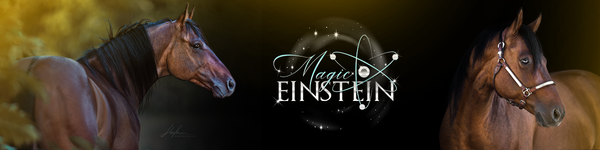 2020-04_sa_slider_magic-einstein2