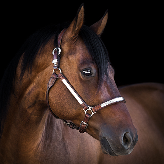 2020-04_sr_sa_main_magic-einstein