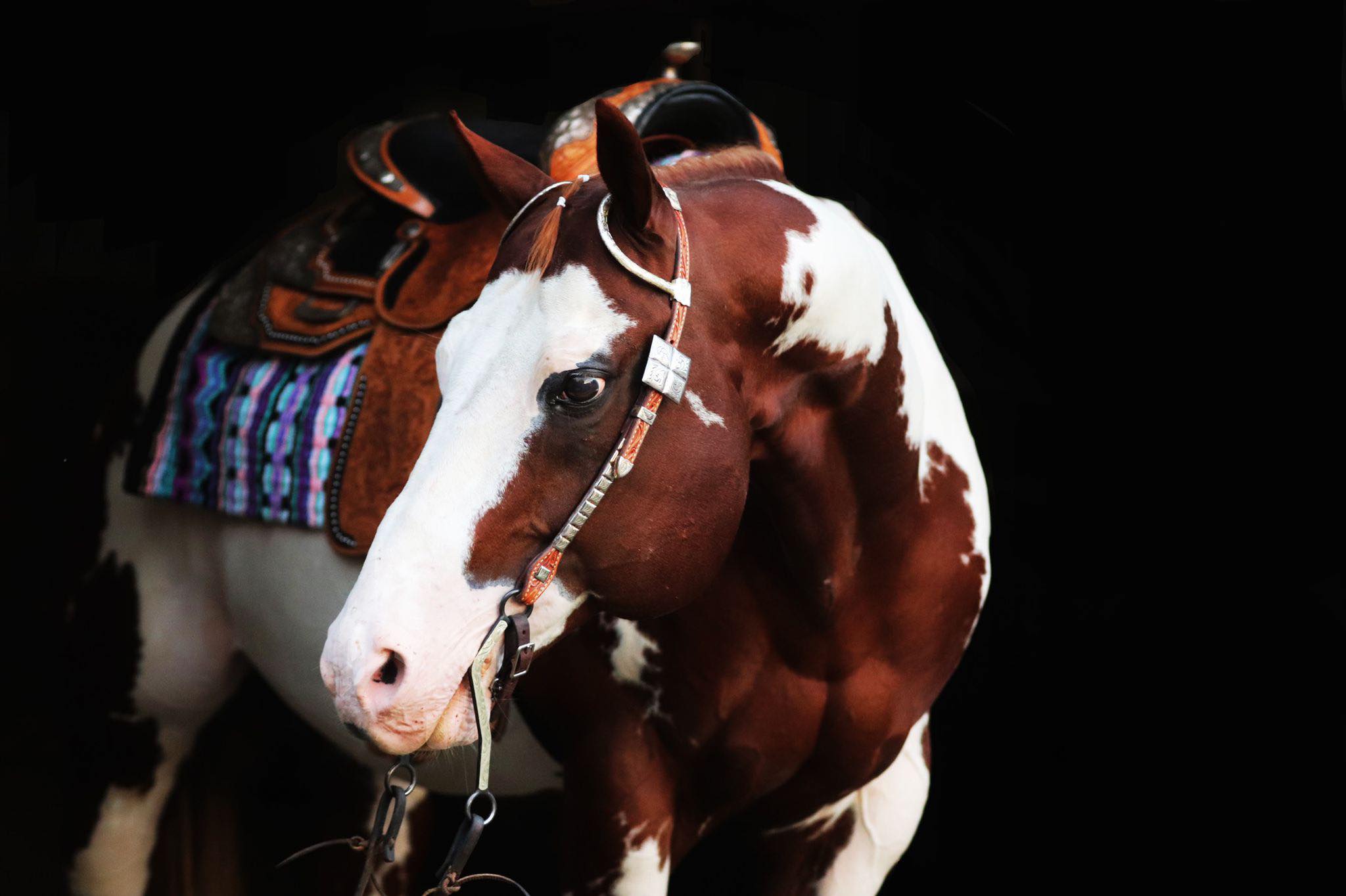 240592189_245700330772920_5589978725664228716_n