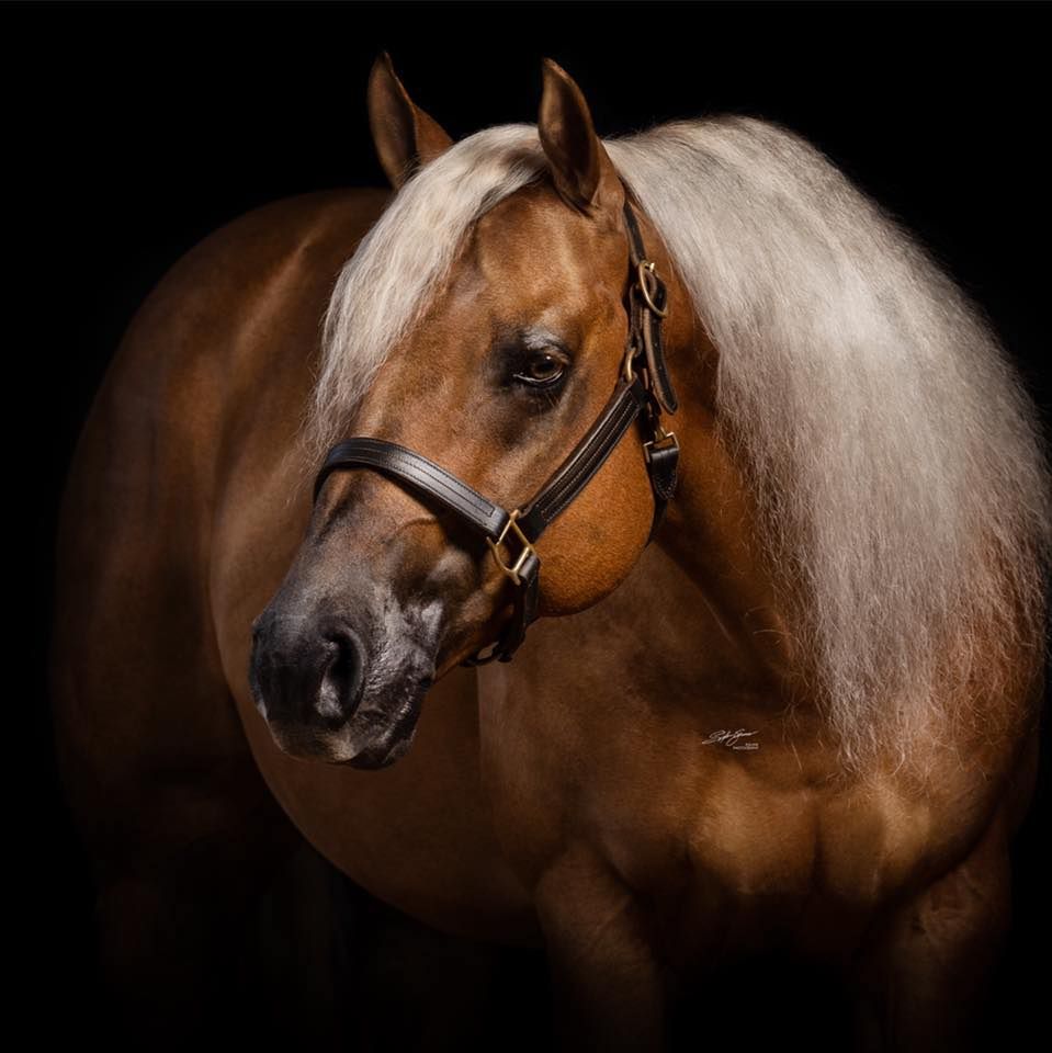 248901222_2388704887933757_4718893343673738567_n