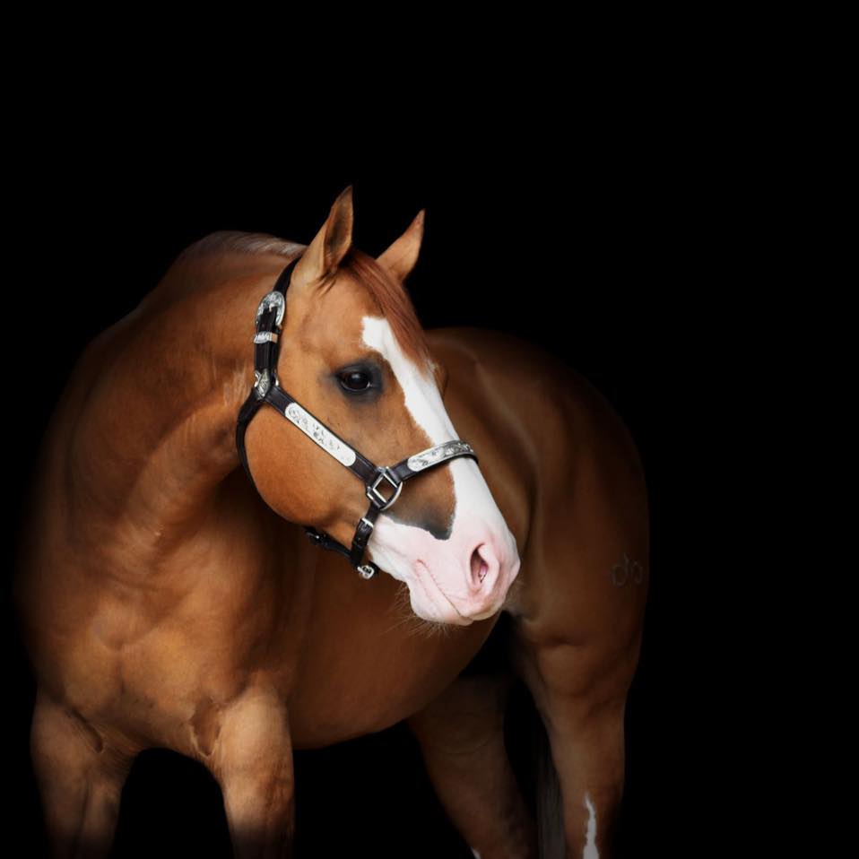 287476197_383463160510823_6452057696759279788_n