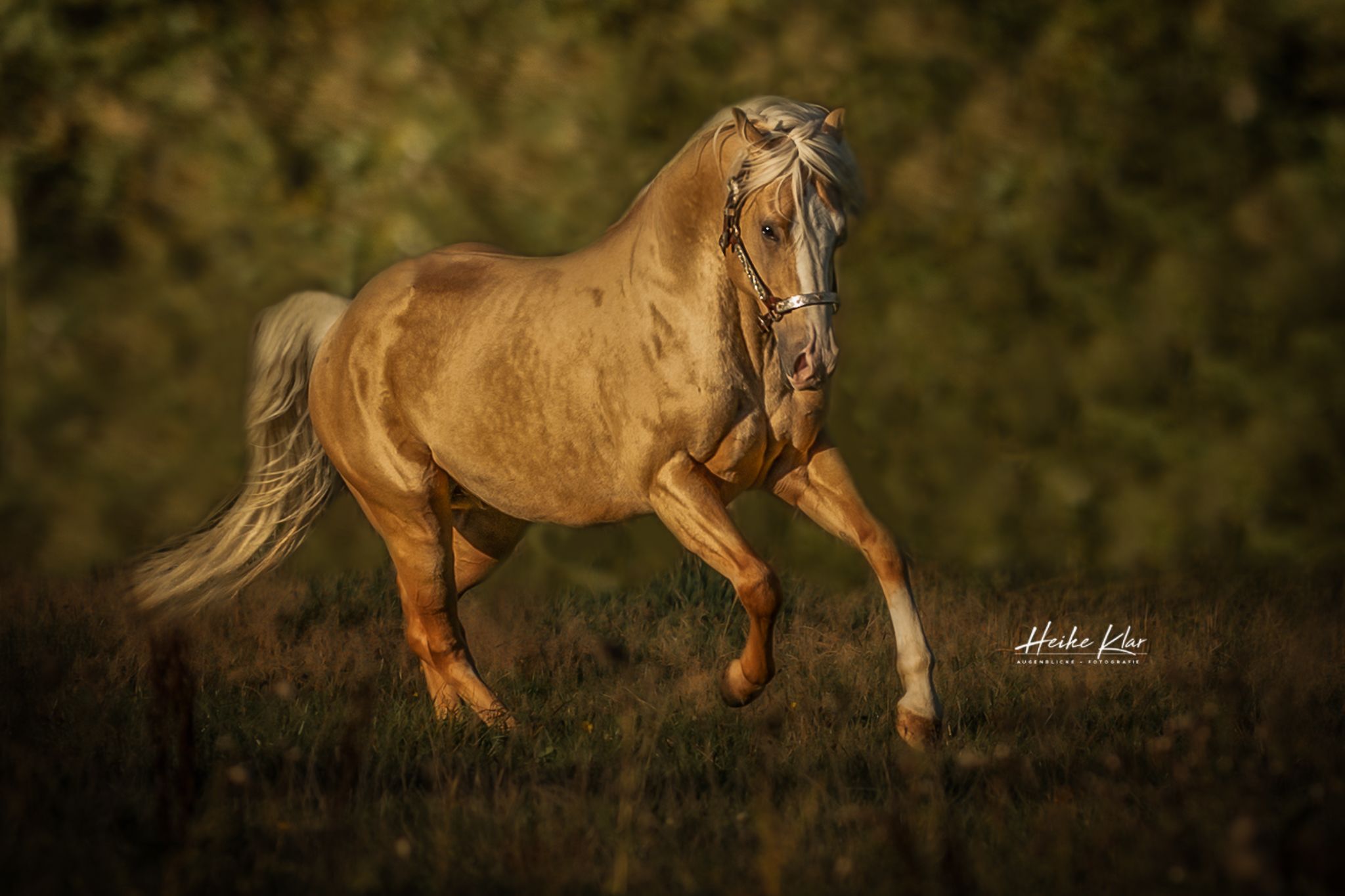 66a36248-38ca-4193-a375-2bf7b5317a1d