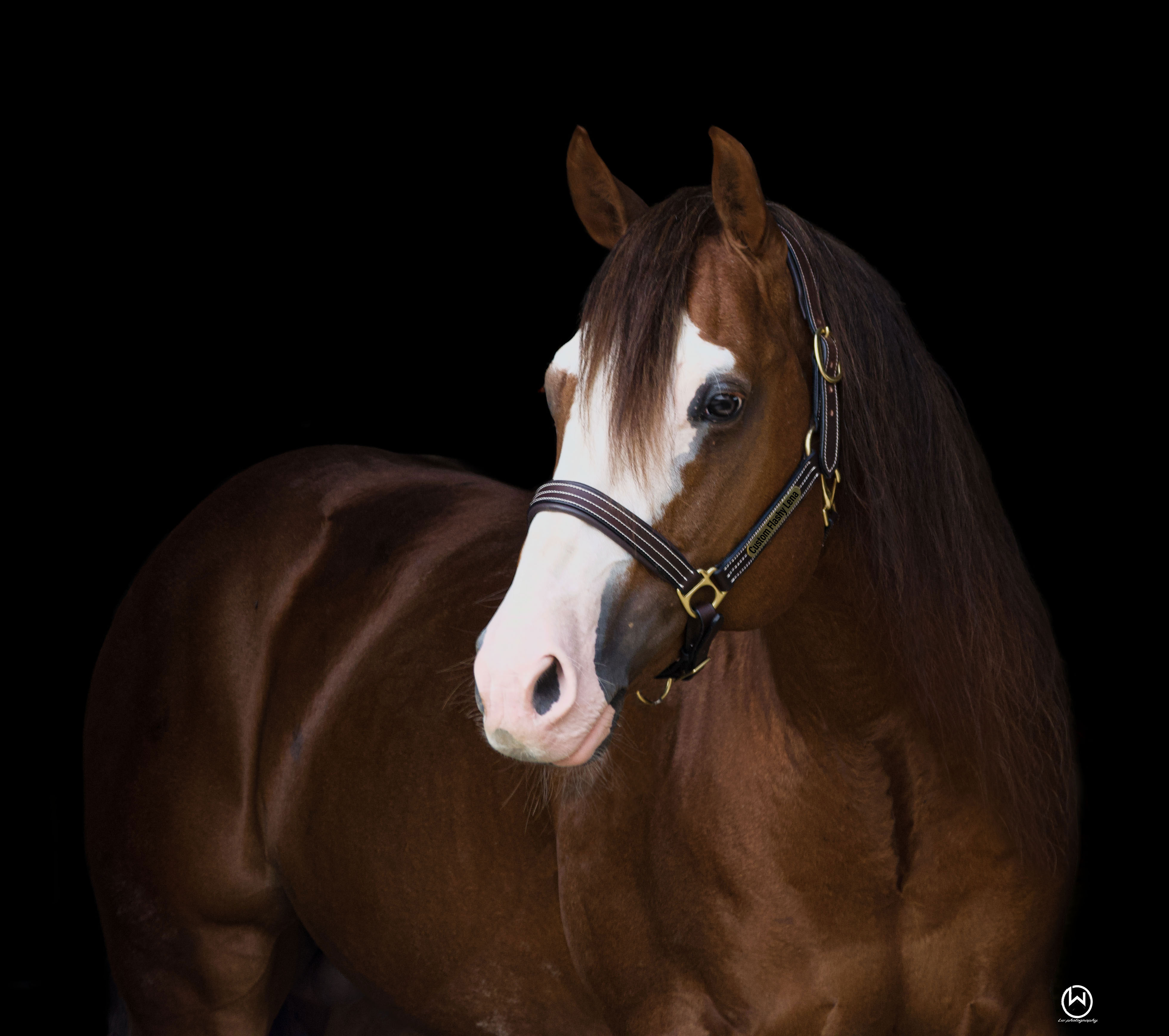 CUSTOM-FLASHY-LENA.02-web