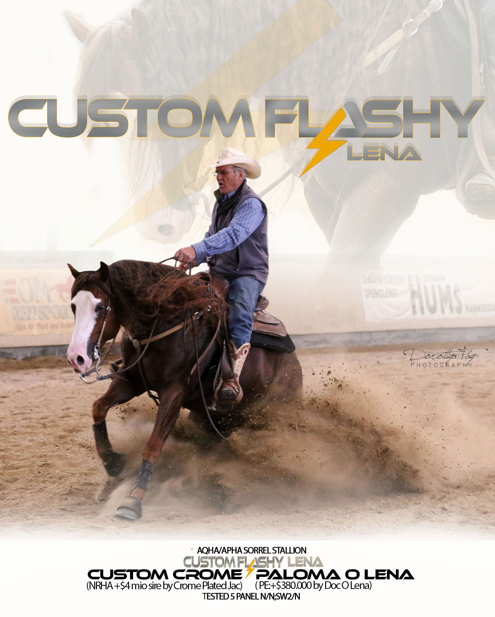 CUSTOM-FLASHY-LENA.CARD02-web