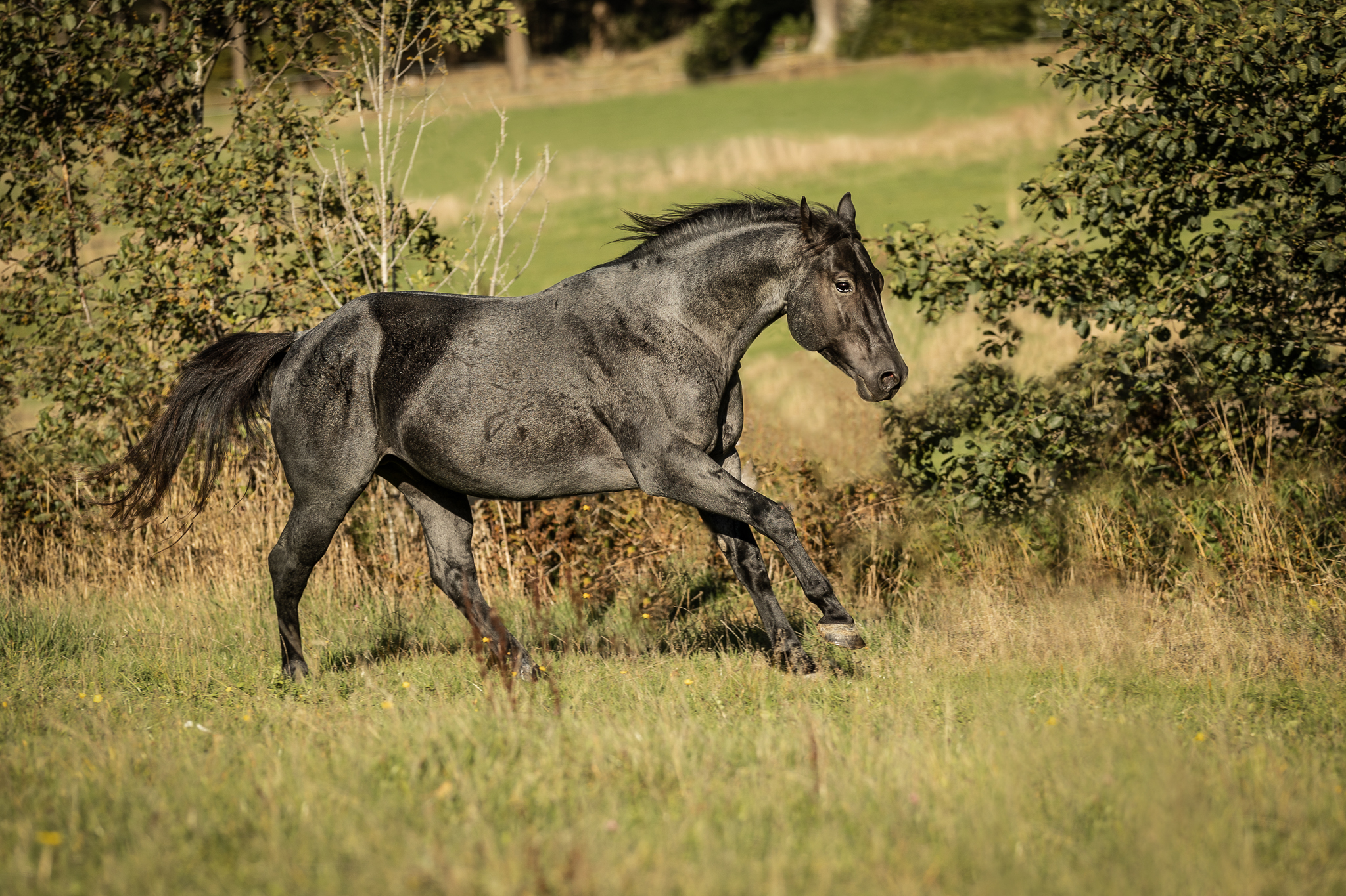 IG6A9199-Bearbeitet-2