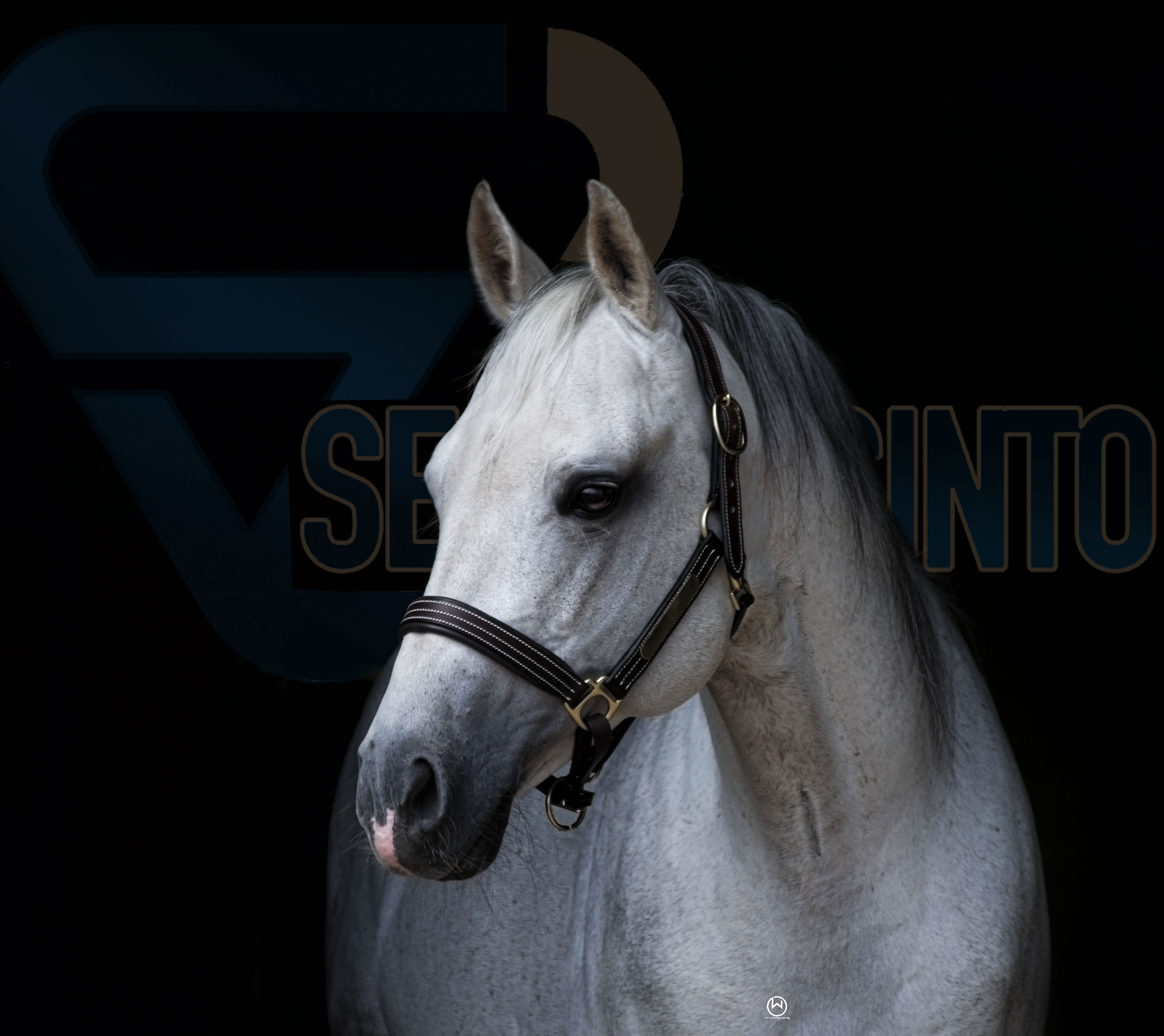 SECO-JACINTO-Shooting01.mit-logo-web