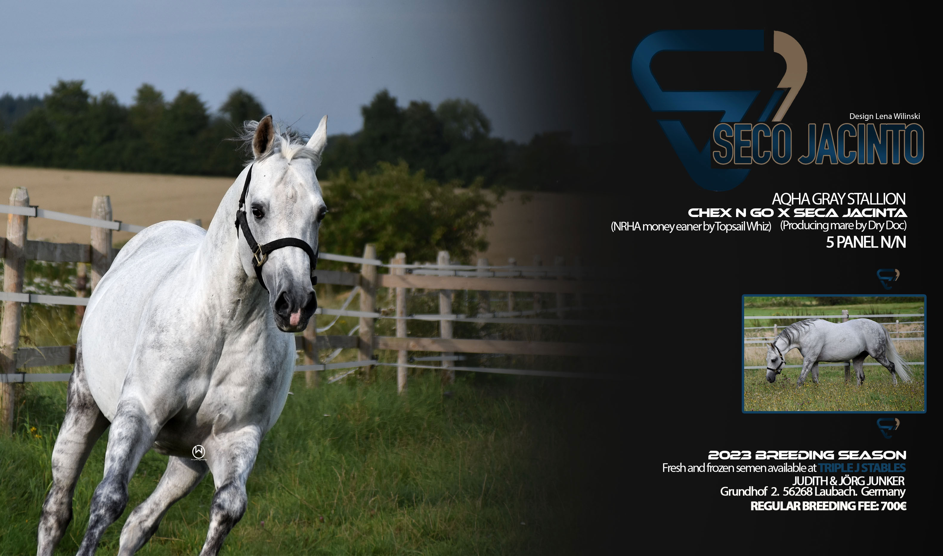 SECO-JACINTO.CARD03-web