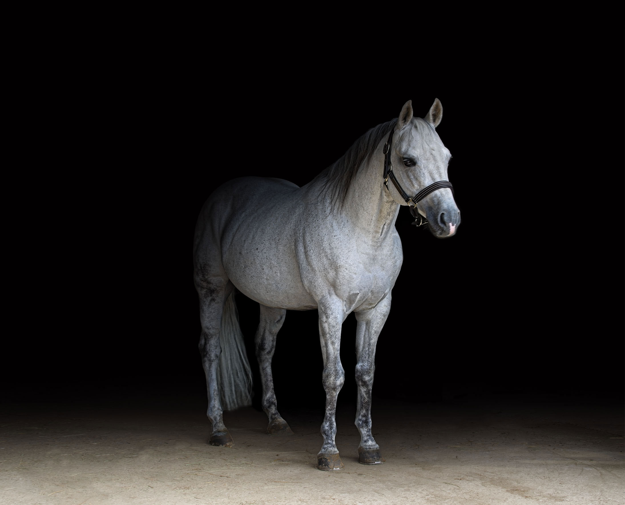 SECO-JACINTO.SHOOTING03web