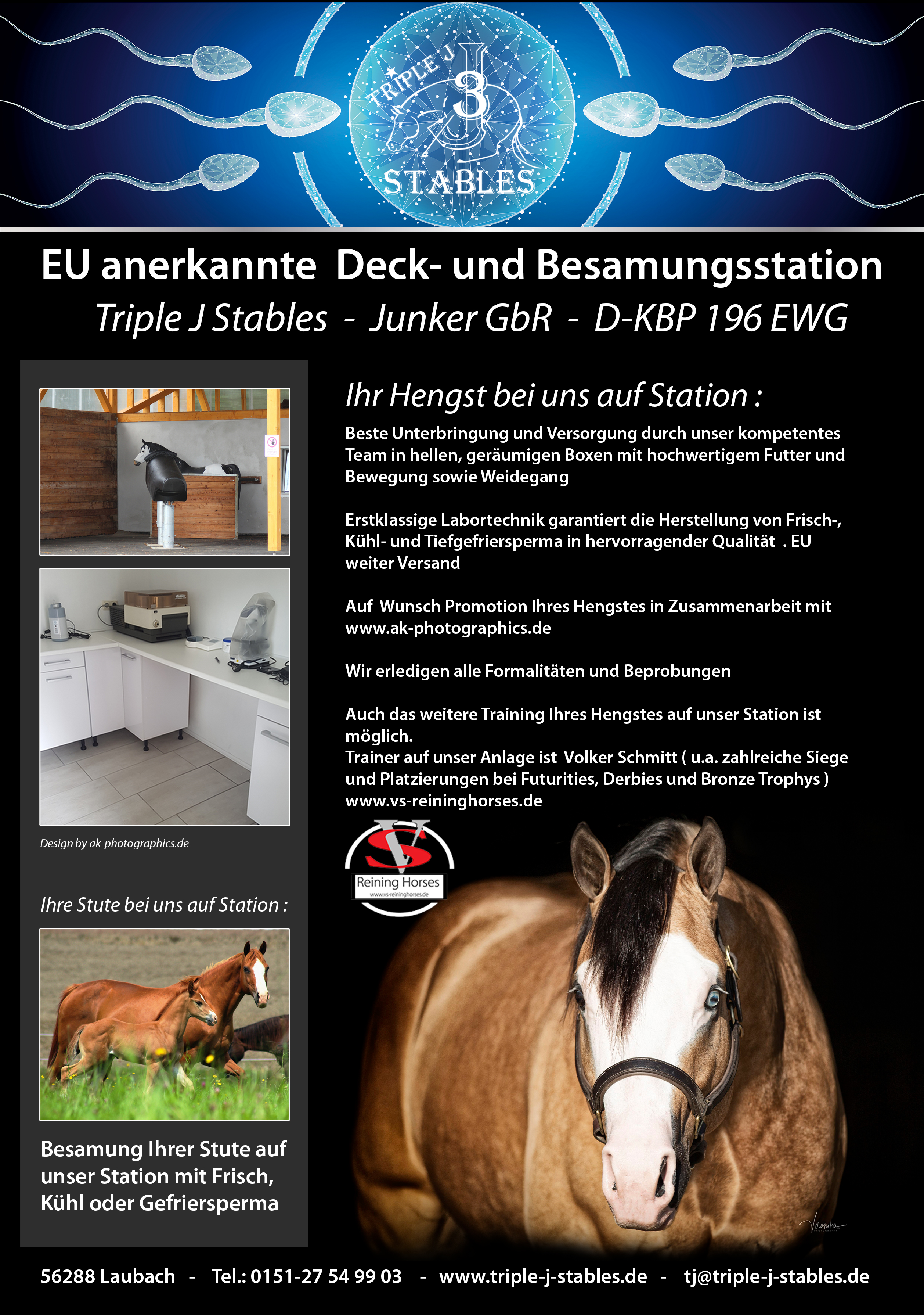 Werbung Deckstation