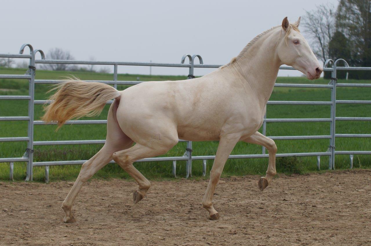 WhatsApp Image 2021-05-01 at 13.23.56 (1)