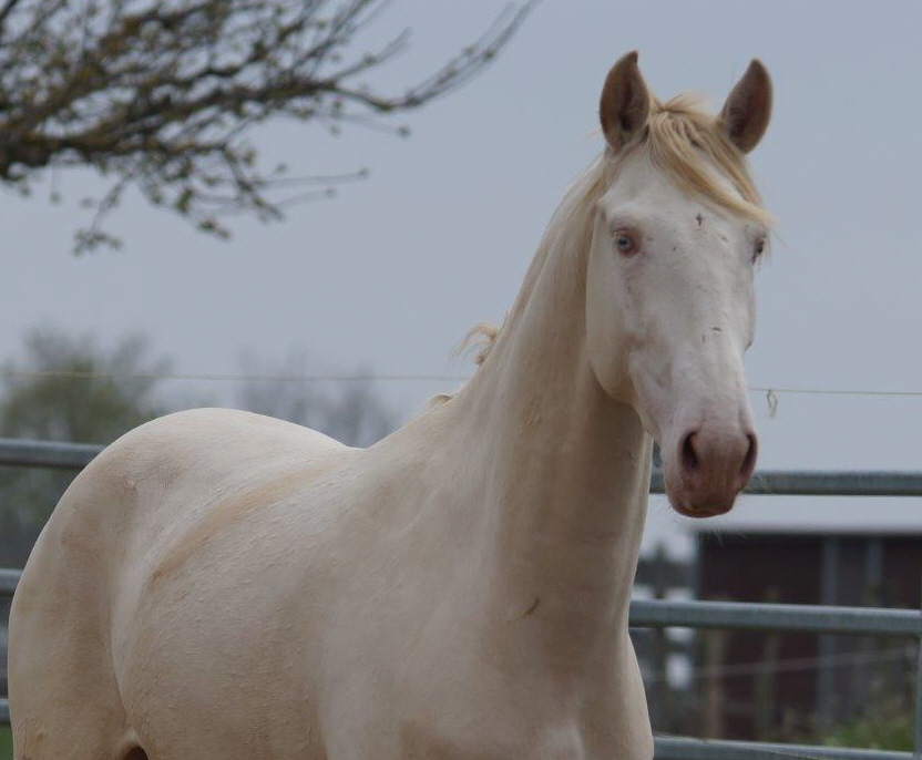 WhatsApp Image 2021-05-01 at 13.24.05 (2)