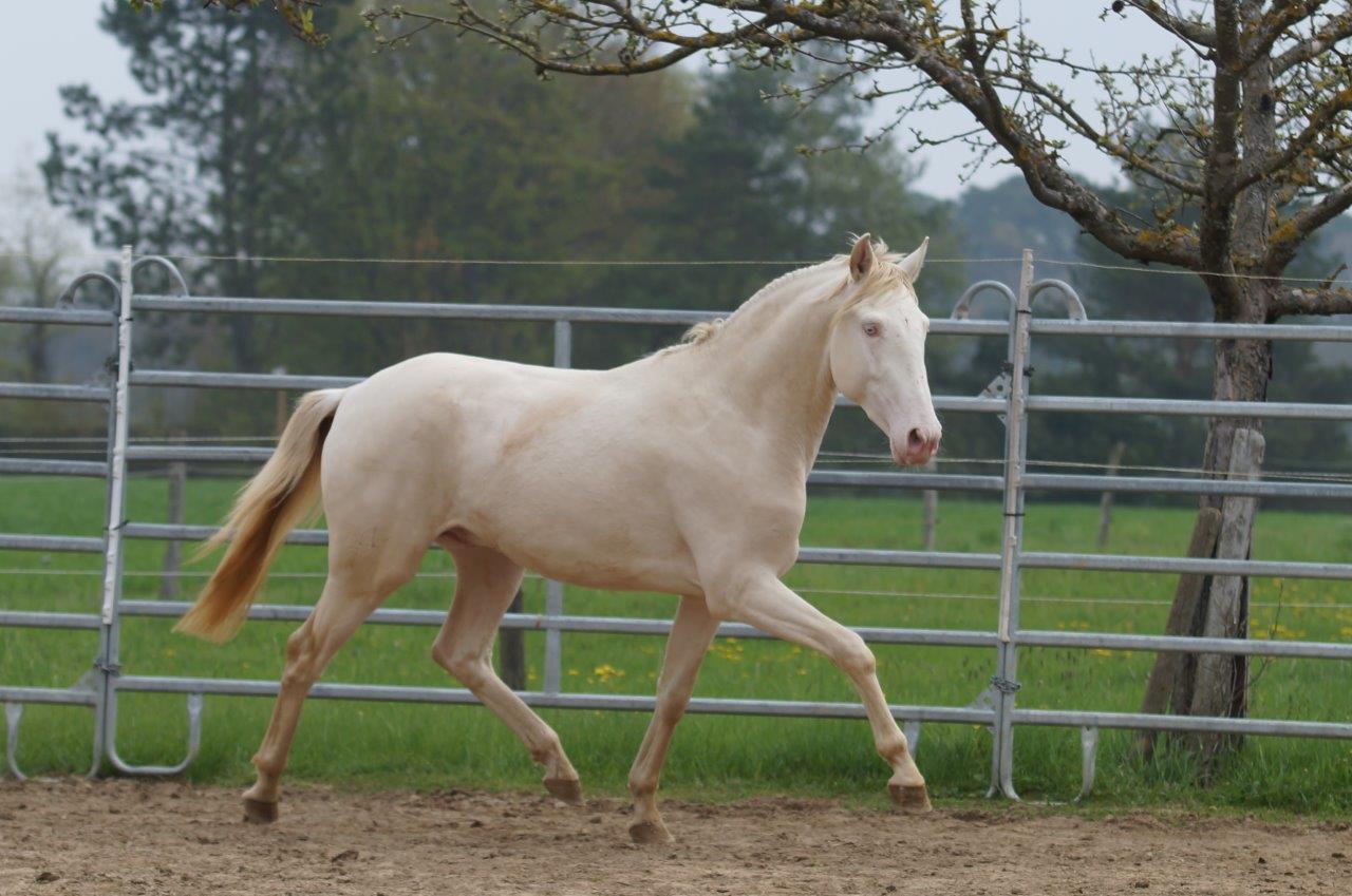 WhatsApp Image 2021-05-01 at 13.24.06 (1)