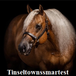 248901222_2388704887933757_4718893343673738567_n