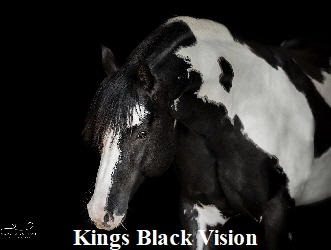 256250338_10220360581990001_4502724438754660590_n