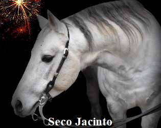 271138778_5271683426177097_1040500468221716134_n