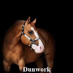 287476197_383463160510823_6452057696759279788_n