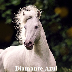 DiamanteAzul