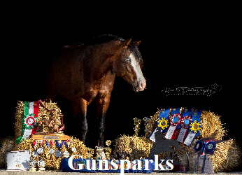Gunsparks2verkleinert