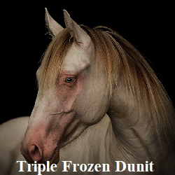 TripleFrozenDunnit