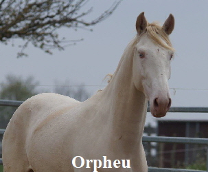 WhatsApp Image 2021-05-01 at 13.24.05 (2)