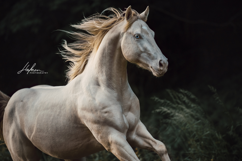 best-of-spook-2020-02-1030x687