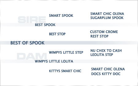 pedigree-best-of-spook